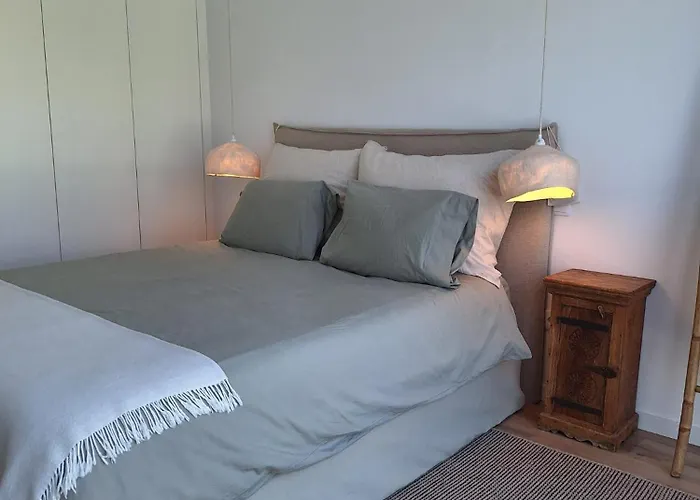 Luxury Green Apartment In The Historic Centre Aveiro