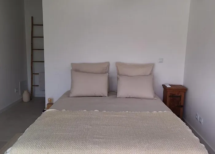 Luxury Green Apartment In The Historic Centre Aveiro